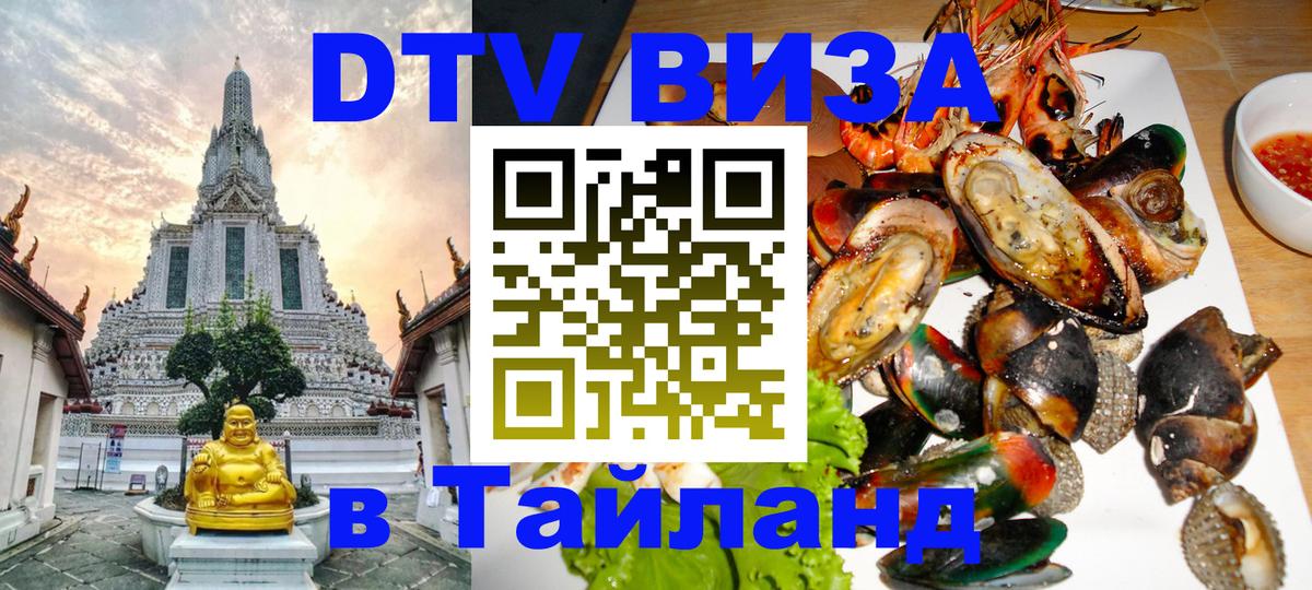 Оформление DTV визы под ключ: стоимость и тарифы, только загранпаспорт - 